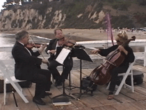 String Trio