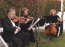 4 Minute String Trio (Quicktime)